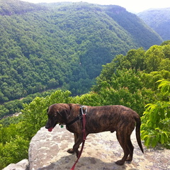 Pixel above New River Gorge